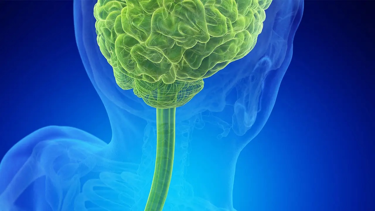 No Difference in Complications for Chiari I Surgical Approaches in Kids, Study Shows